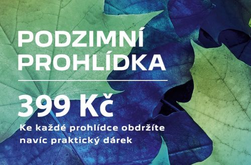 Podzimní prohlídka Peugeot + dárek